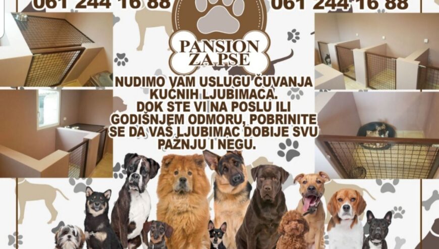 Pansion za pse – usluga cuvanja