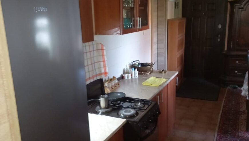 Avala, kragujevacki put. 200 m2, uknjizena 130000e