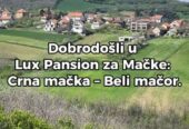 Crna Mačka – Beli Mačor, lux pansion