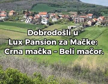 pansion-za-macke-01