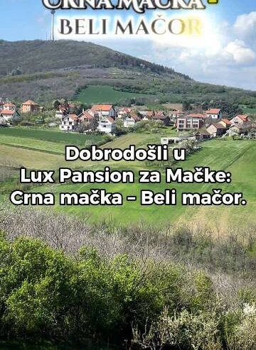 Crna Mačka – Beli Mačor, lux pansion