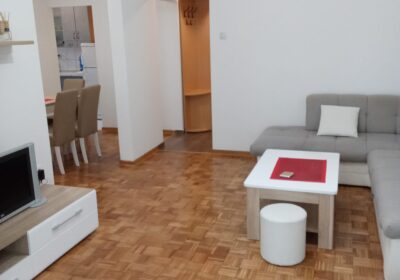 1-sitting-room-Celebonovica-Bezanija-Beograd-flat-sale-tenanted-Expo-2027-prodaja-sa-zakupcima-tenanted-invest-estate-property-bitcoin-Serbia-Copy-2