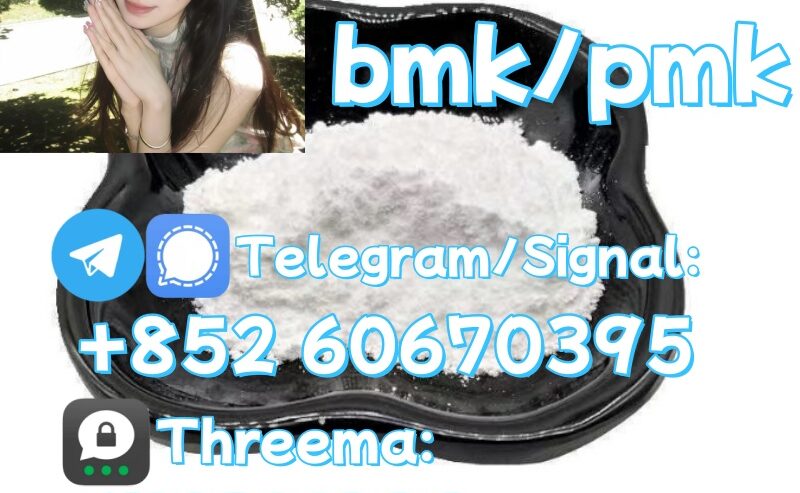 China factory supply Bmk/Pmk low price