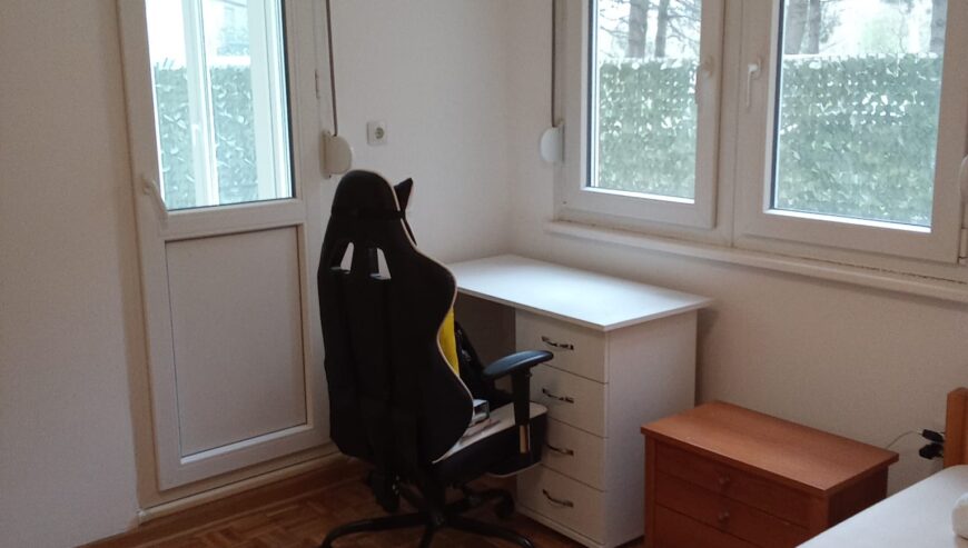 Home office co-working space flat.sale.bezanijska