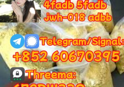 88dc365c0fe23068f5f704dcee1097b2