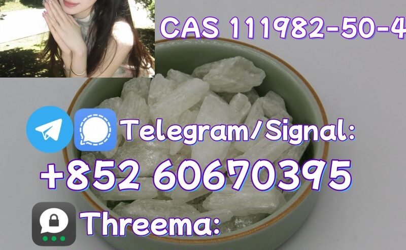 Low price 2fdck China supplier