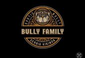 American bully exotic štenci