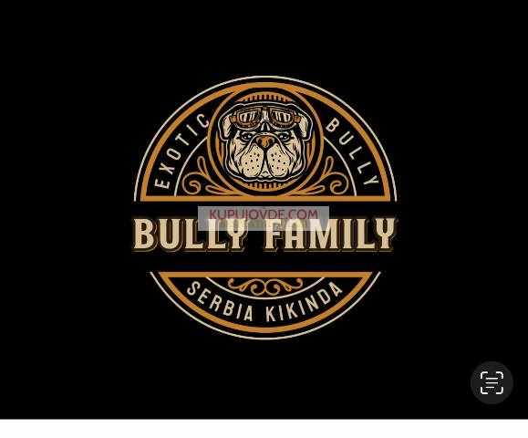 American bully exotic štenci
