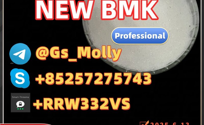 High-Purity GS New PMK – Trusted Supplier Worldwid