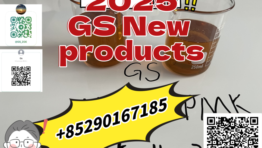 Premium NEW PMK BMK 49851-31-2 1451-82-7Supply Cha