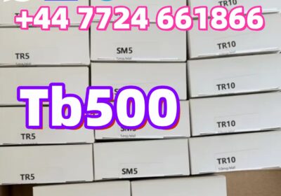 b3f94e35f8324bcb567ed65877d0976-3