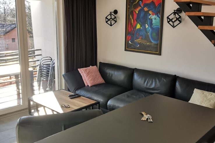 Prodaje se moderna kuća na Zlatiboru (Zova)