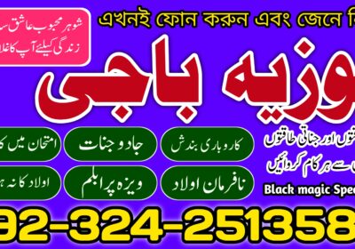 06bcb36d-a38a-419d-ba8b-bcc782891a1e