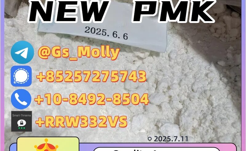 New PMK Powder CAS 28578-16-7 in High Demand