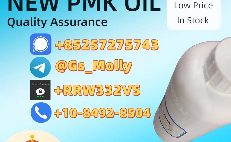 Premium PMK Oil CAS 28578-16-7 | Trusted Supplier