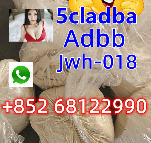 whatsapp/telegram+852 68122990Supply high quality