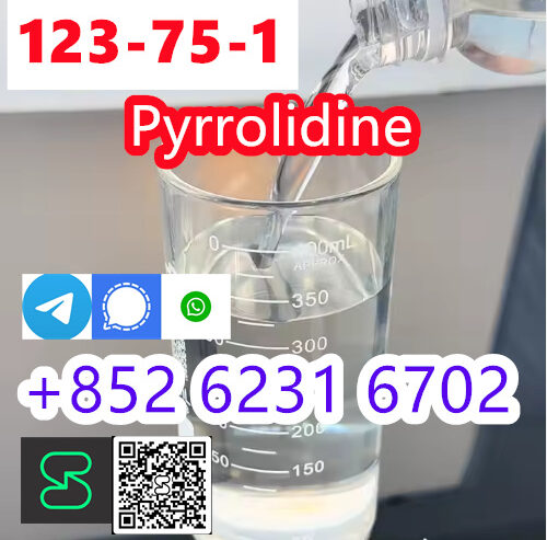 China supplier high quality pyrrolidine Cas 123-75
