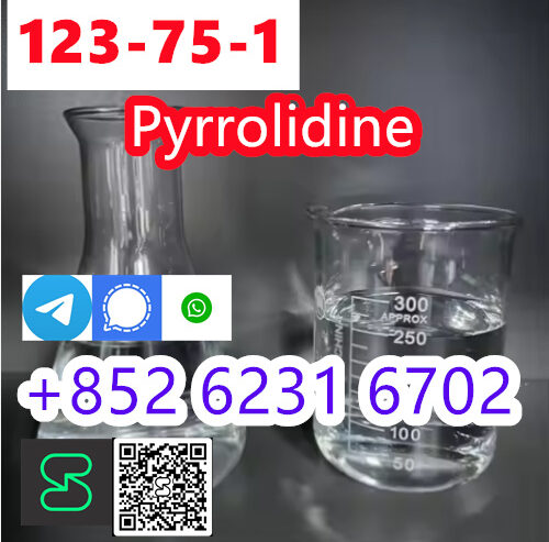 China supplier high quality pyrrolidine Cas 123-75