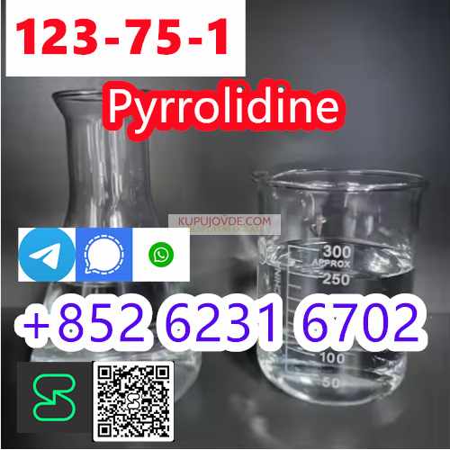 China supplier high quality pyrrolidine Cas 123-75