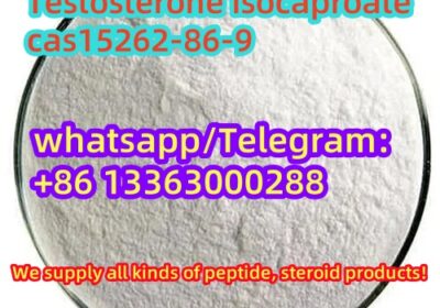 17285410303621-1