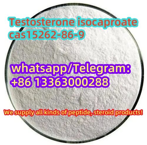 Testosterone isocaproate cas15262-86-9