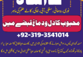 divorce problem uk amil baba in karachi lahore pak