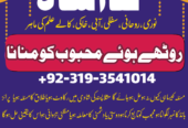 divorce problem uk amil baba in karachi lahore pak