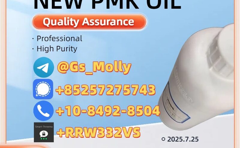 Trusted PMK Oil Supplier CAS 28578-16-7 Safe