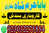 kala ilam specialist expert amil baba lahore exper