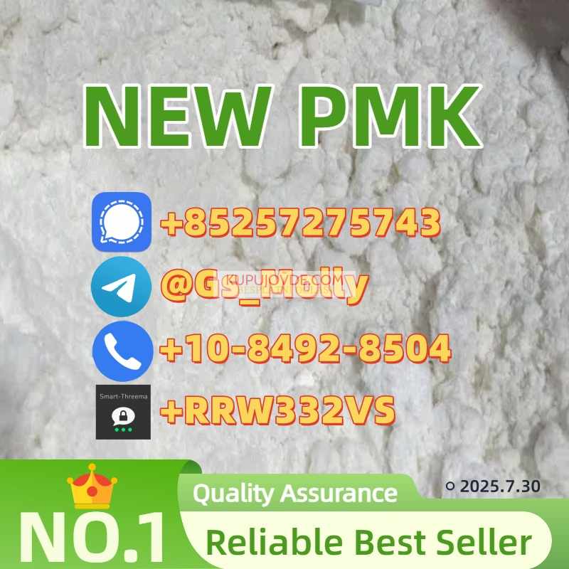Hot Sale! PMK Powder CAS 28578-16-7