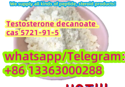 32b5b38d-fce5-4d4f-b39a-075f7e022838