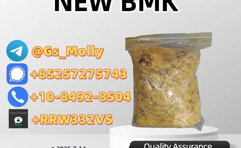 New BMK Powder CAS 5449-12-7