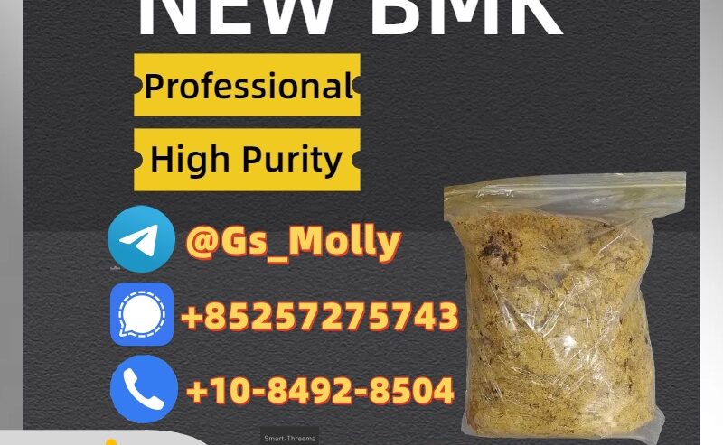 New BMK Glycidate Derivative | CAS 20320-59-6