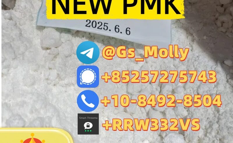 New PMK Powder (CAS 28578-16-7) – 99% Purity