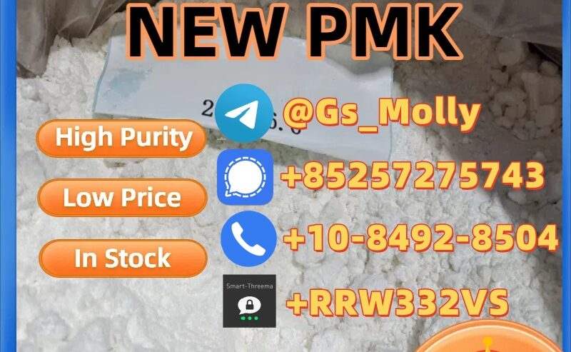 New Pmk Glycidyl Ester Powder CAS 52190-28-0