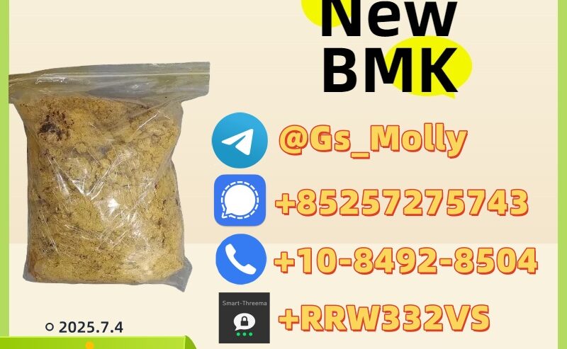 New BMK Chemical (CAS 28578-16-7)