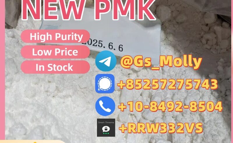 New PMK Powder CAS 28578-16-7, Safe & Reliable