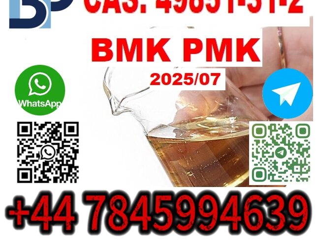 49851-31-2 BMK PMK 1451-82-7