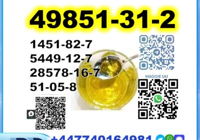 49851-31-2-bmk-pmk-1
