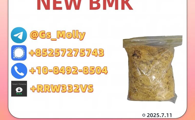 New PMK Powder CAS 28578-16-7 in High Demand
