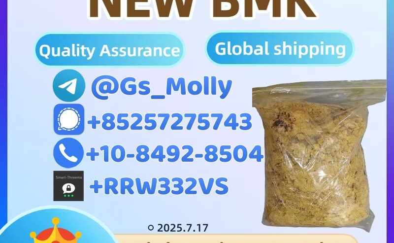 New BMK Power (CAS 5449-12-7) | Research Use Only