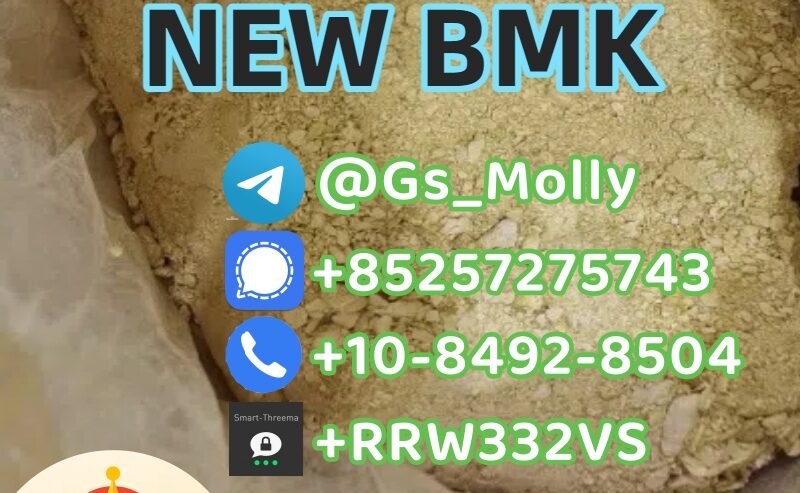 New BMK Glycidate Powder CAS 5413-05-8