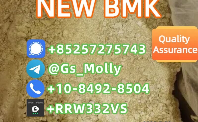 New BMK Powder 99.9% Purity | CAS 5413-05-8