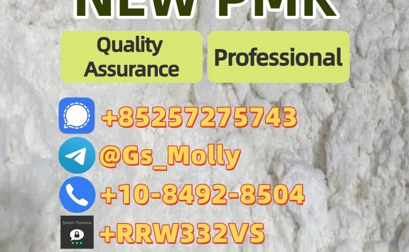 New PMK Powder 28578-16-7 | Best Market Price