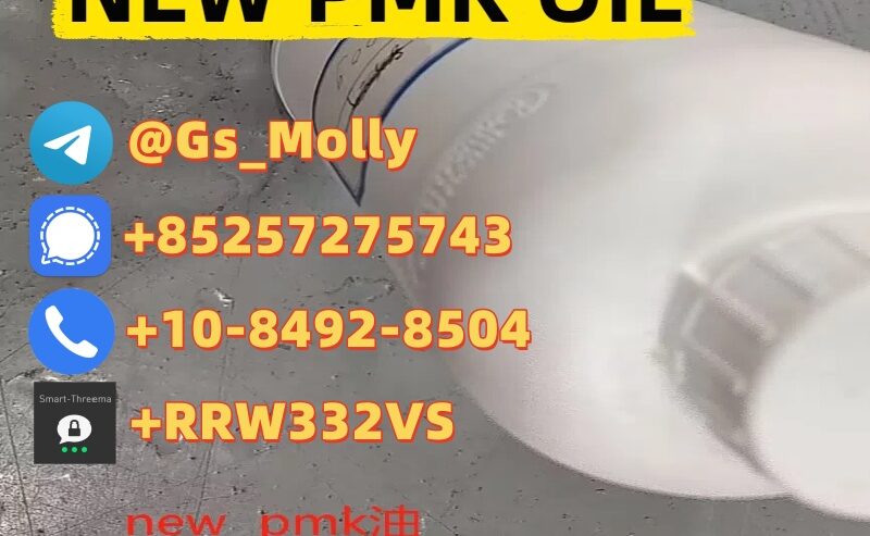 New PMK Oil CAS 28578-16-7/1369021-80-6