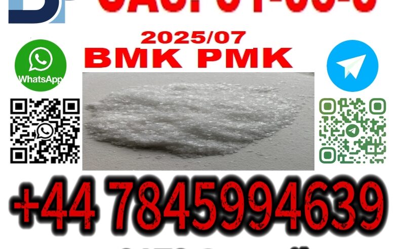BMK PMK 51-05-8 source factory