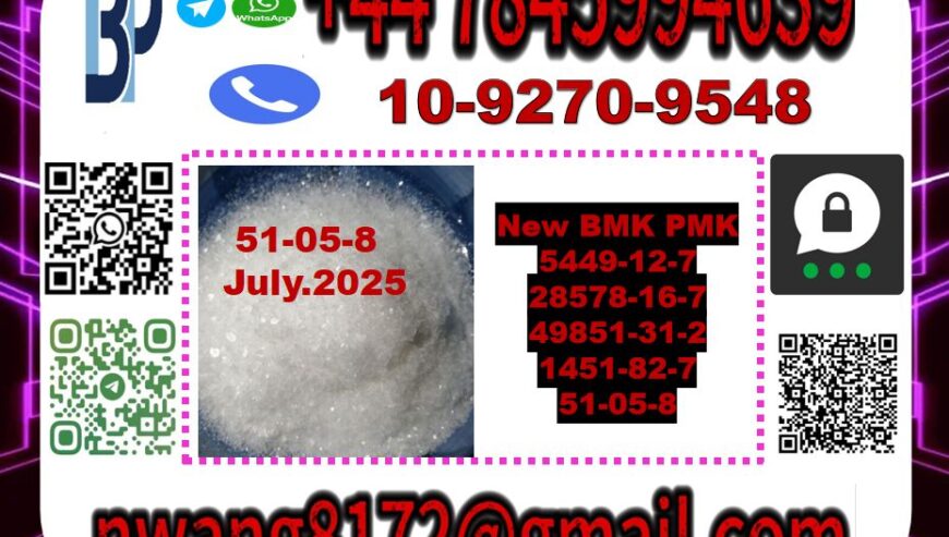 CAS: 51-05-8 Procaine 51-05-8 BMK PMK