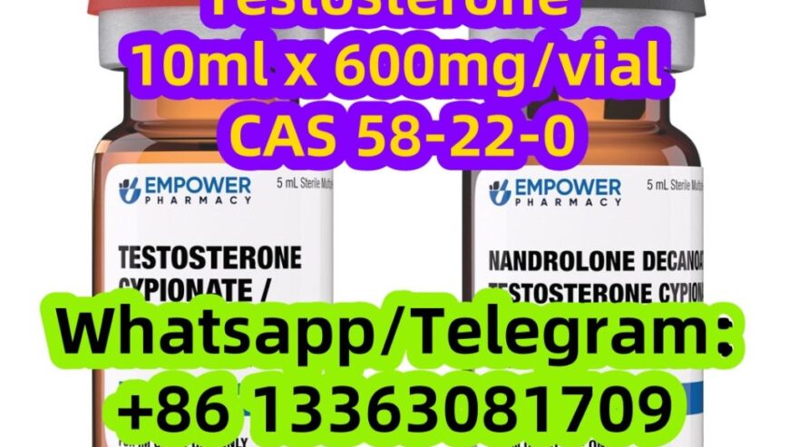 Testosterone Base Steroid CAS 58-22-0
