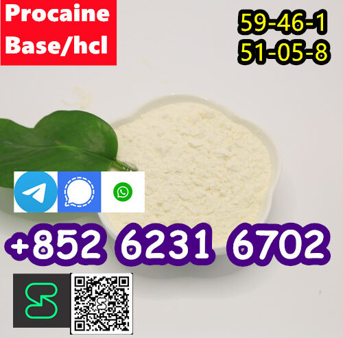 selling Procaine base CAS 59-46-1 /51-05-8 / proca