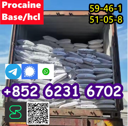 selling Procaine base CAS 59-46-1 /51-05-8 / proca
